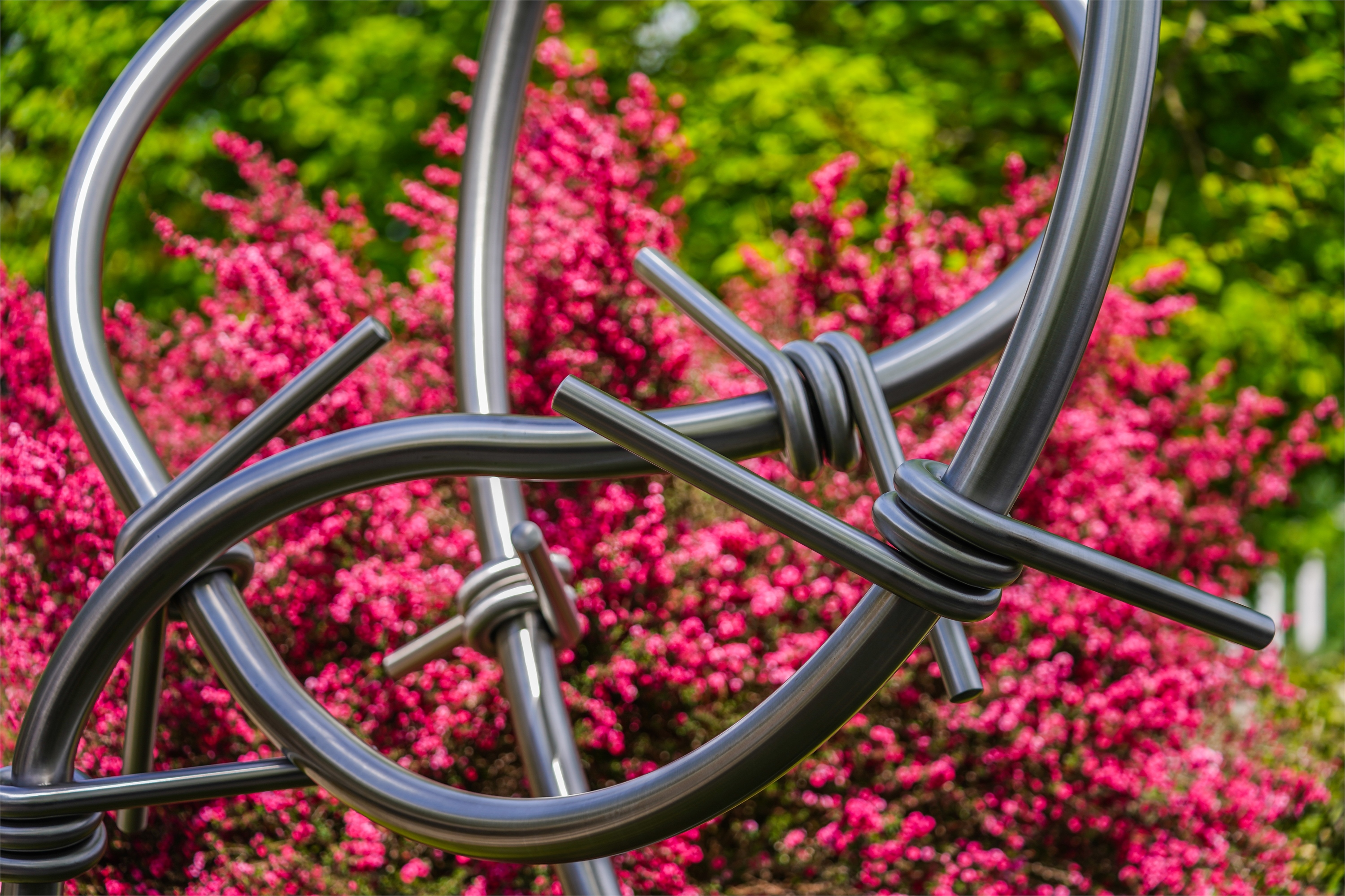 TRIBUTO por Alberto Vieira