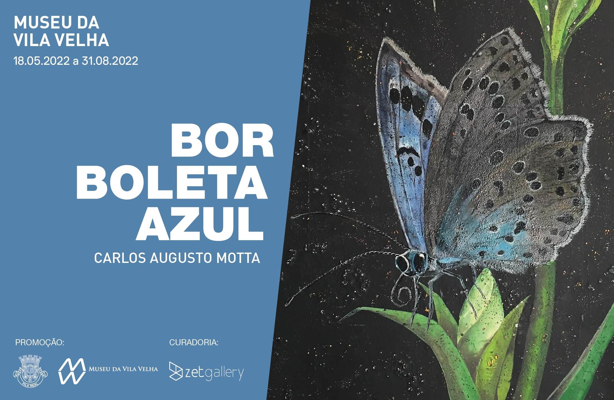 A borboleta-azul e o regresso a casa