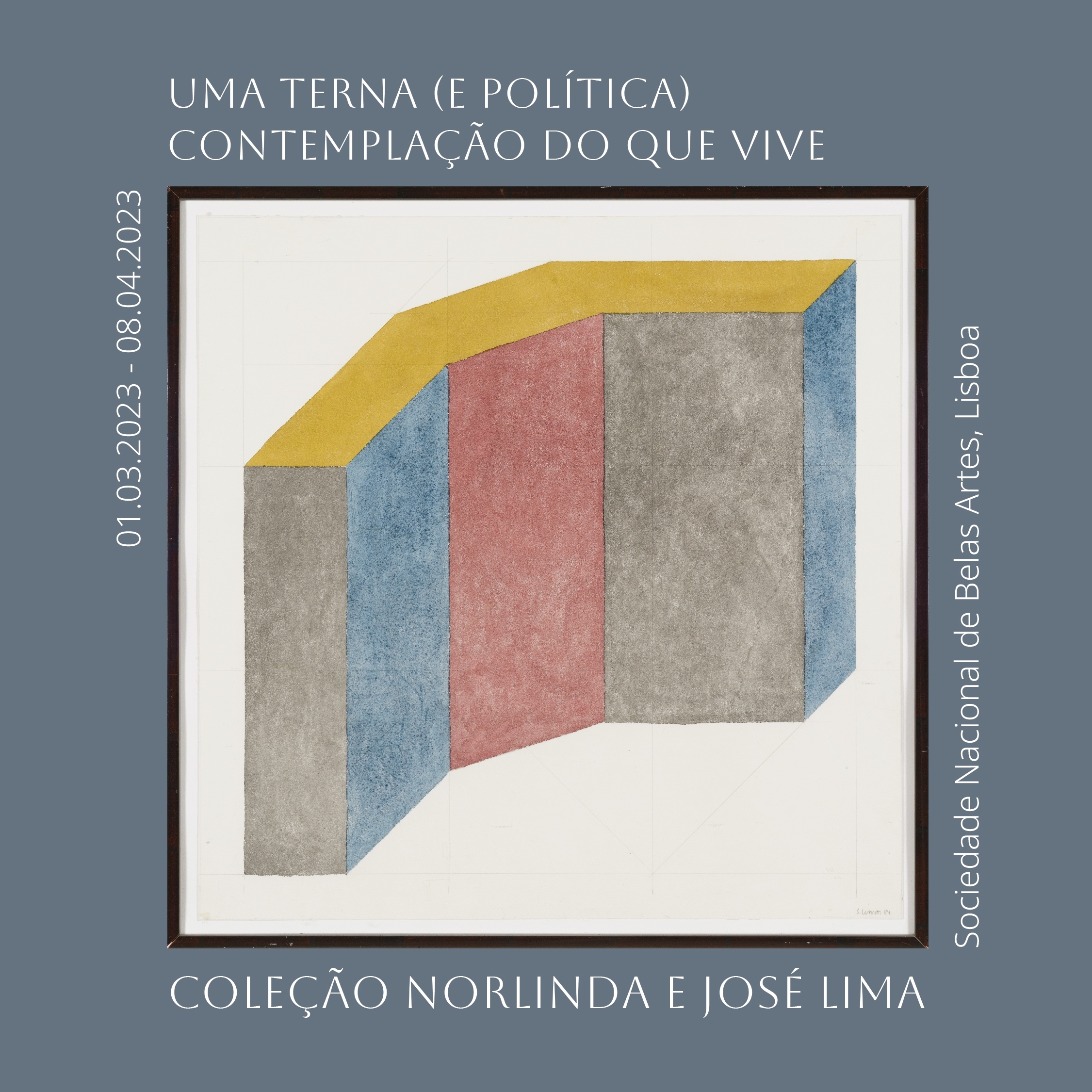 Uma terna (e política) contemplação do que vive