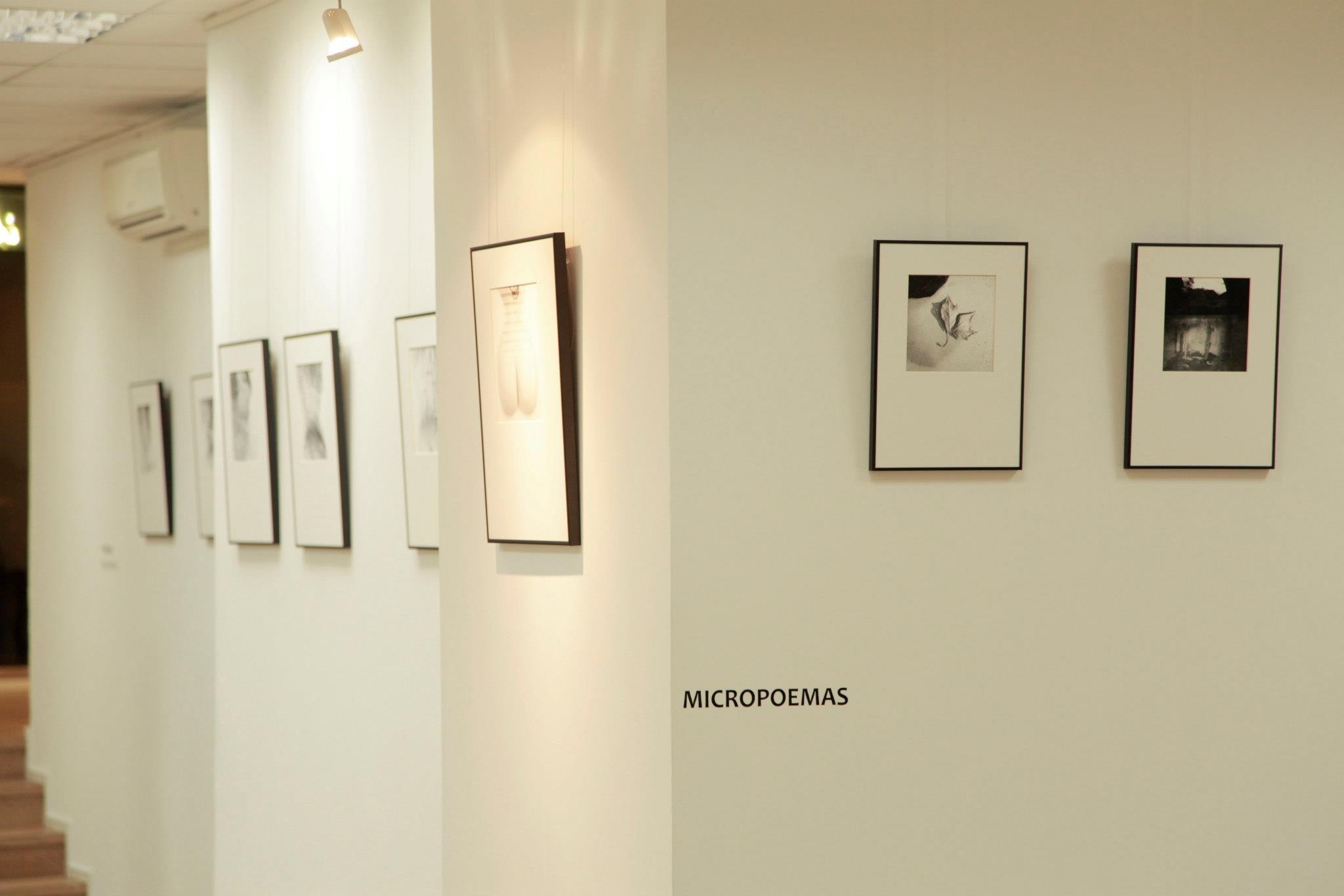 Il Mondo Galeria, galerie d'art