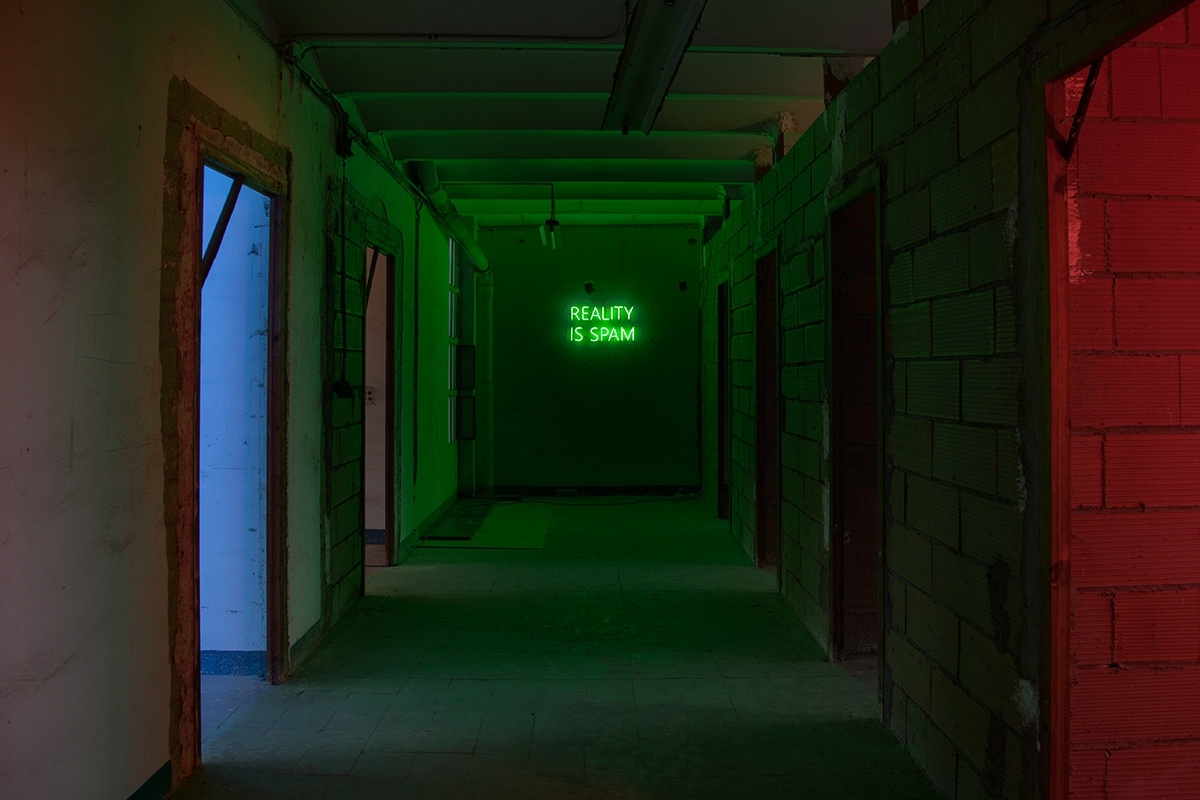 me & the curiosity, galerie d'art