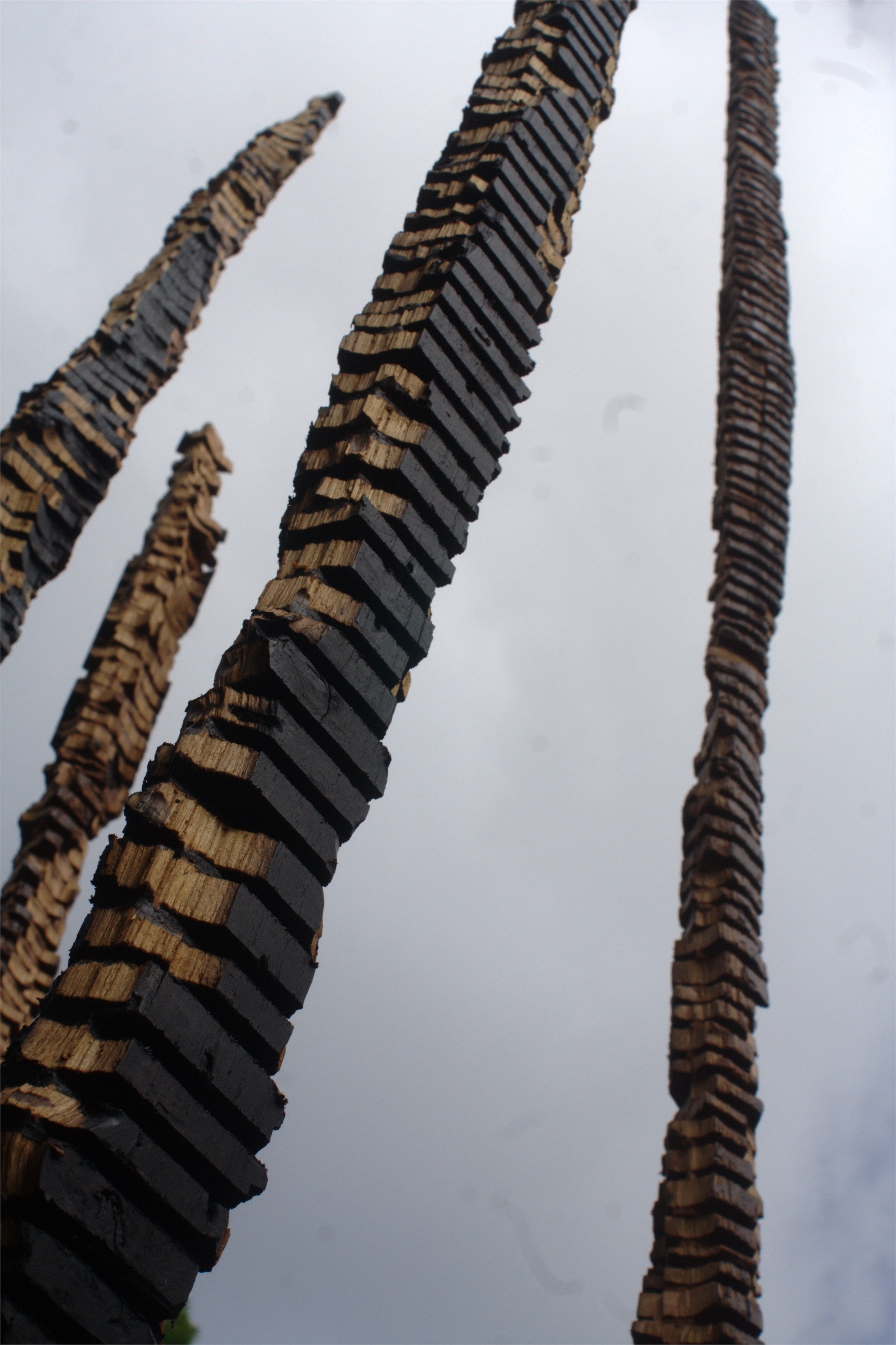 Folhas Caídas I, original Nature Wood Sculpture by Miguel  Neves Oliveira