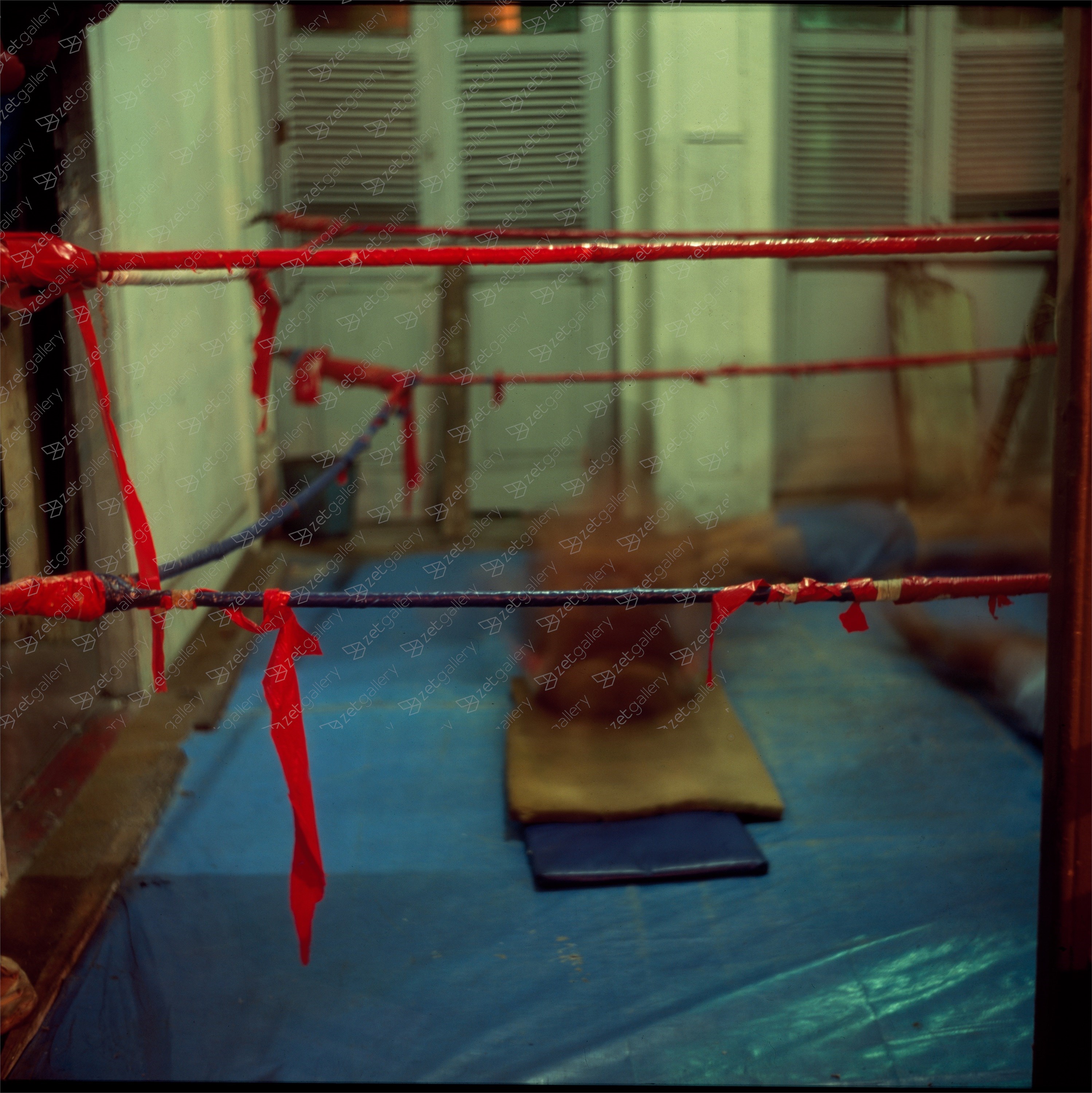 Red, blue and green, original Nature morte Numérique La photographie par Miguel Rio Branco