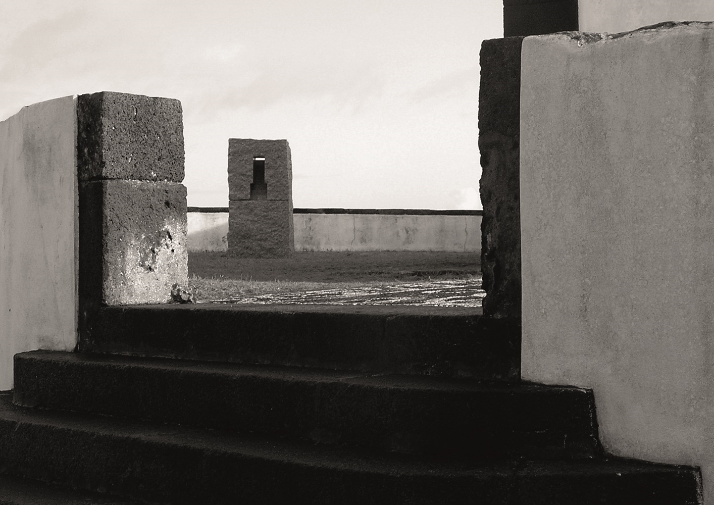 Padrão do Mar II, original Animals Mixed Technique Sculpture by Volker Schnüttgen