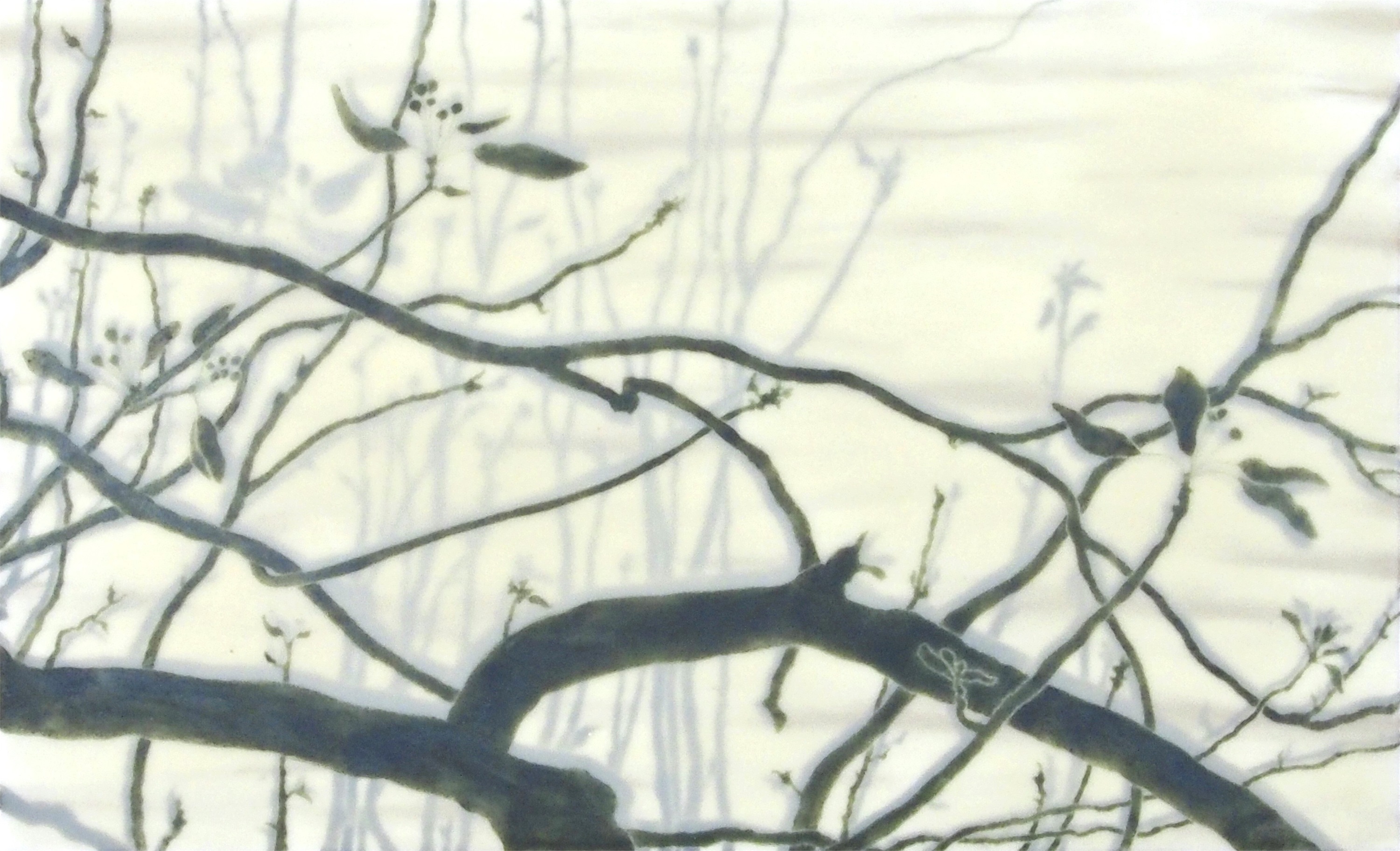 Série Branca #9, original Abstract Acrylic Painting by Teresa Gil