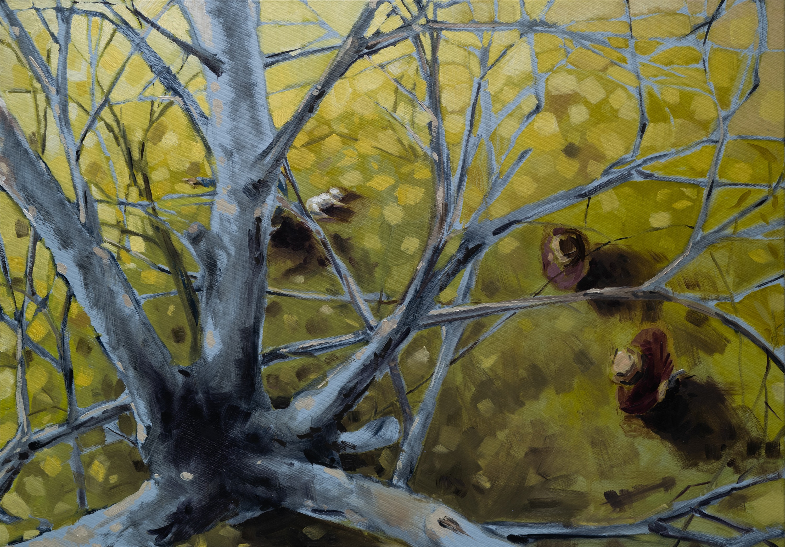 Fantasia para Dois Coronéis e uma Piscina, original Abstrait Pétrole La peinture par BeckenFilipe .