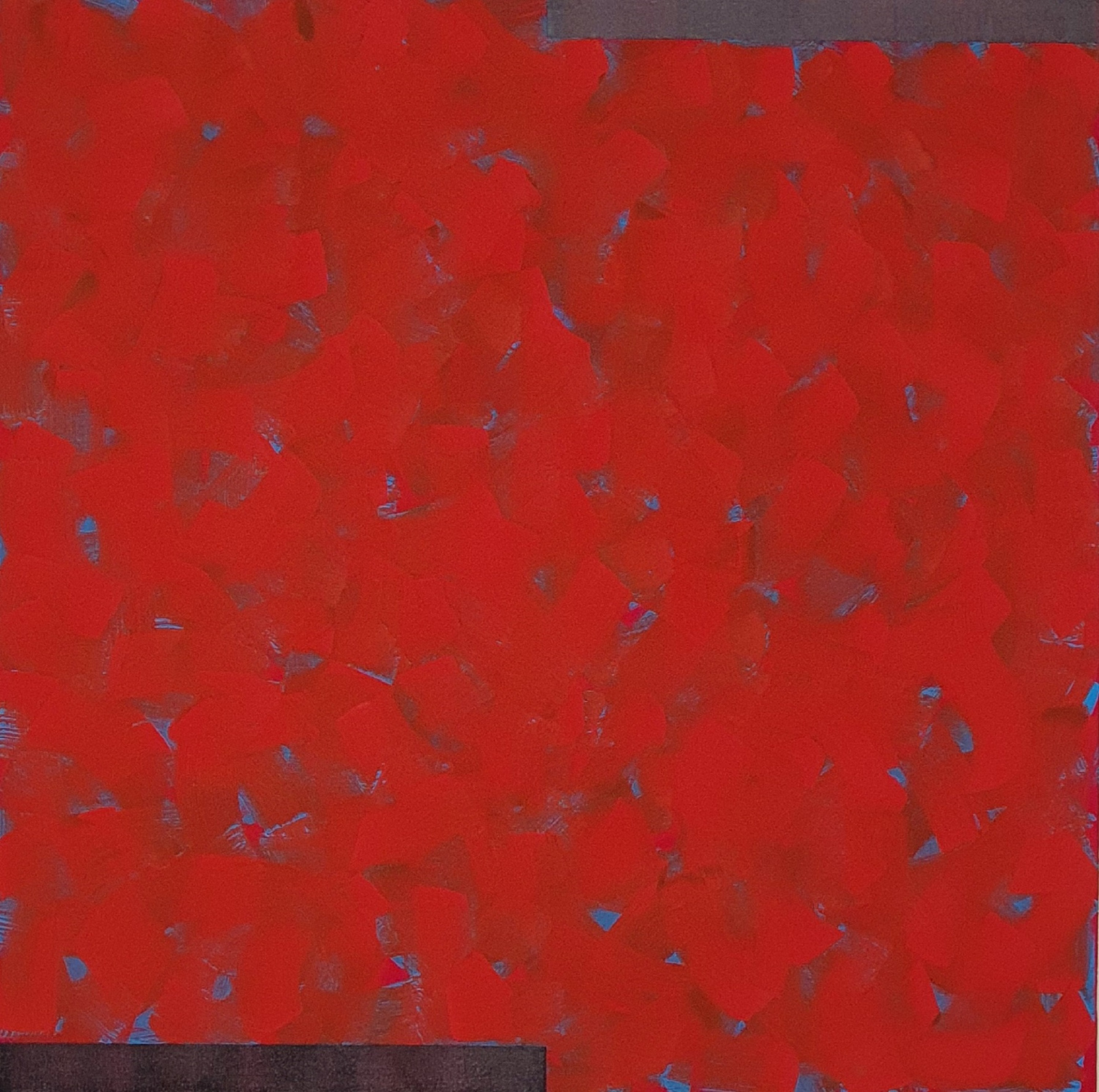 Paulo, painter at zet gallery