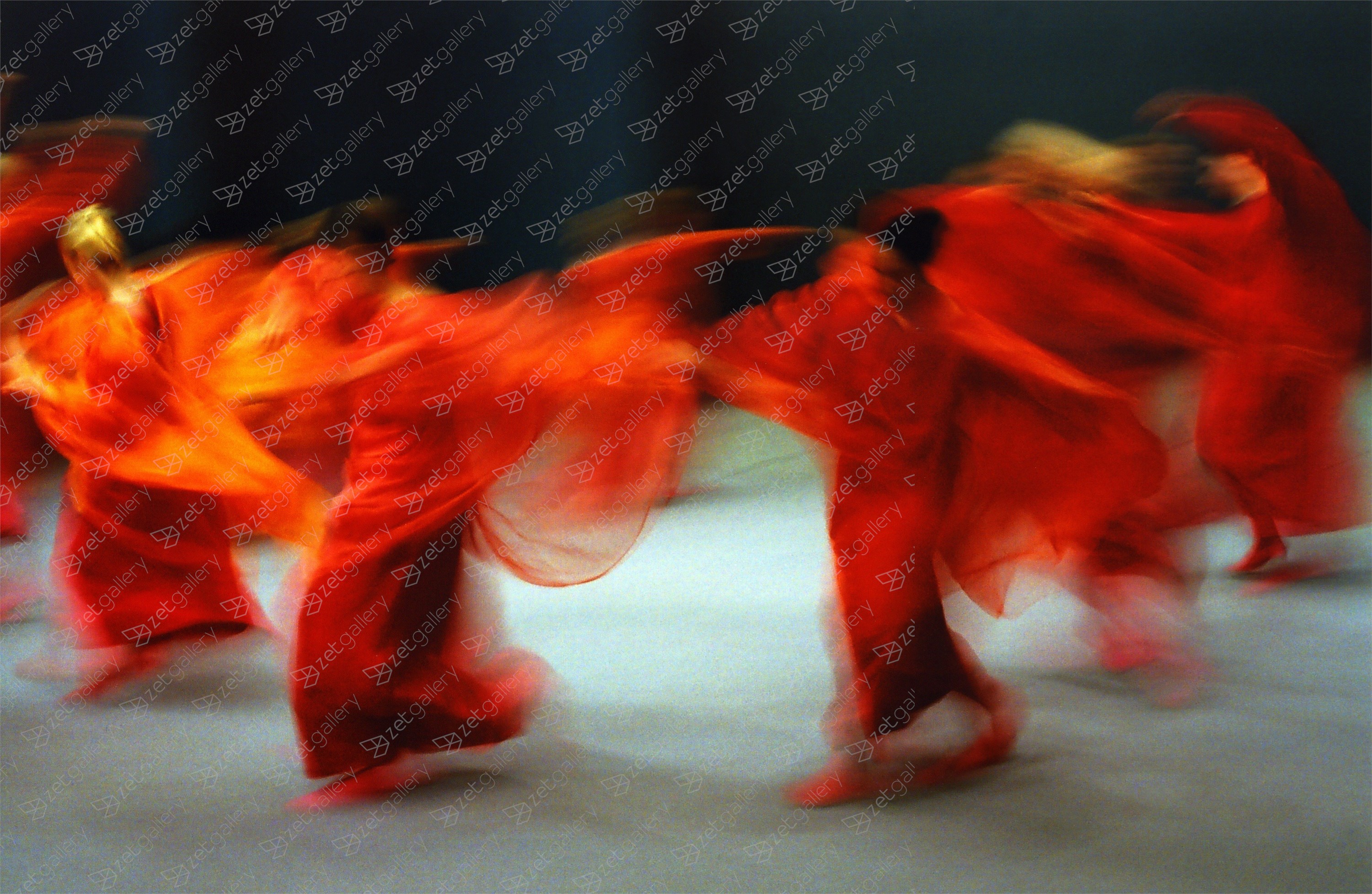 Beethoven, original Human Figure Digital Photography by Charlotte Fischer