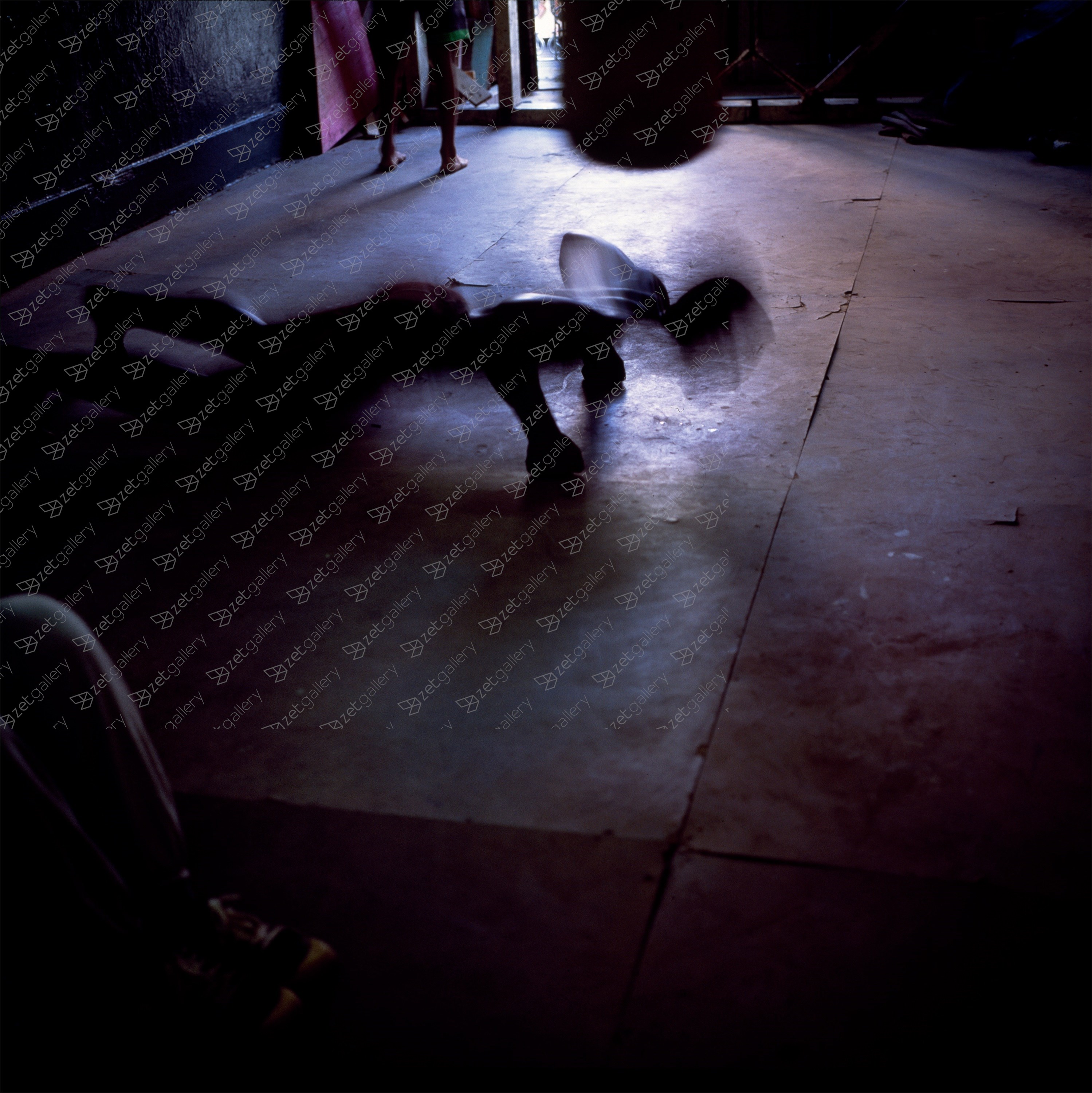 Insect, original Naturaleza muerta Digital Fotografía de Miguel Rio Branco