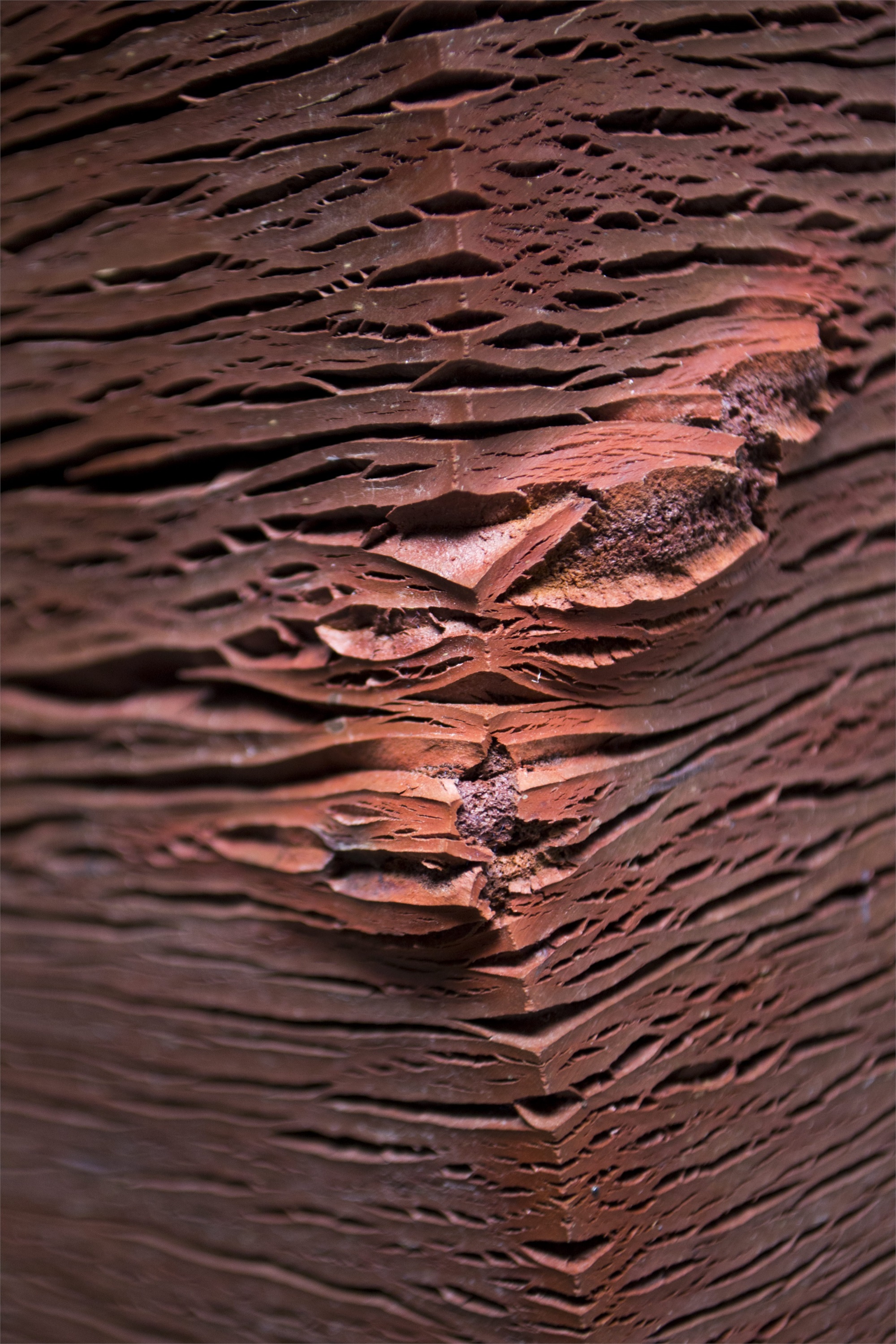 Resistência (do Diálogo) II, original Abstrait Le fer Sculpture par Ana Almeida Pinto