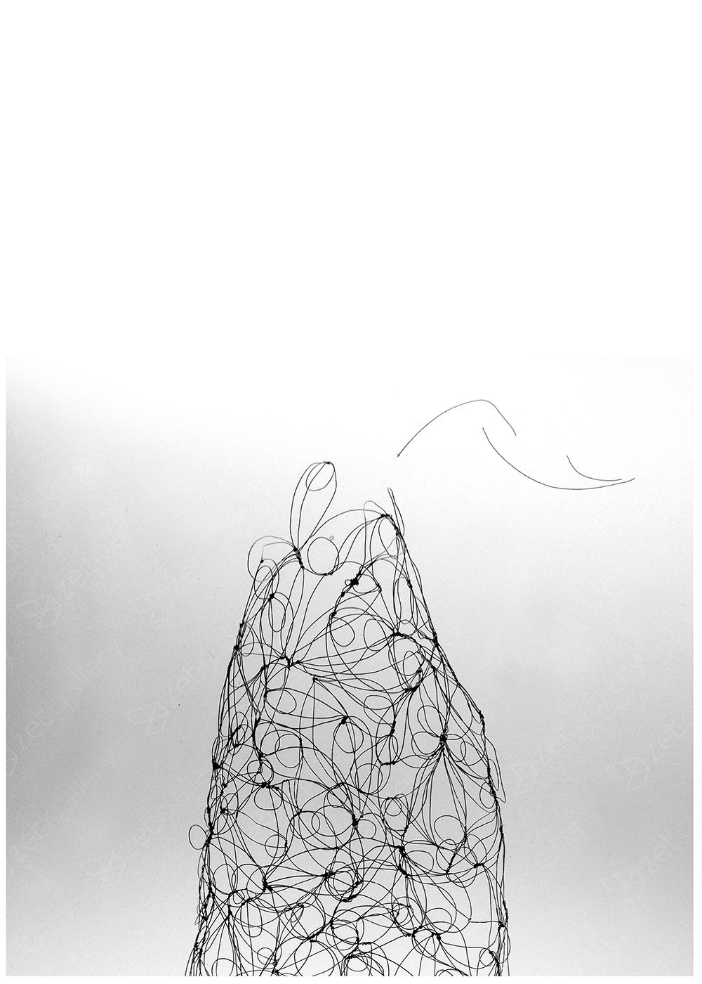 Da Série, Cardumes I, original Abstract Digital Photography by Inês  Osório 